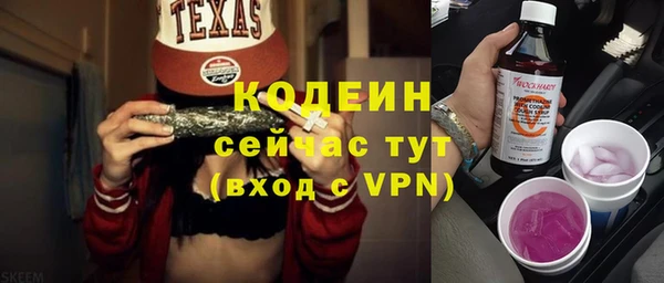 бошки Инта