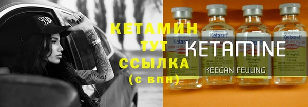 сатива Новодвинск