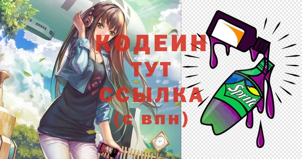 бошки Инта