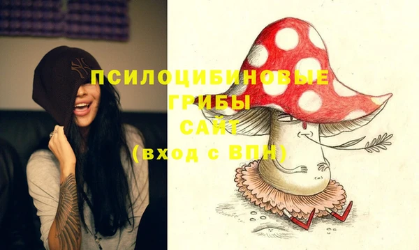 MDMA Premium VHQ Каменка