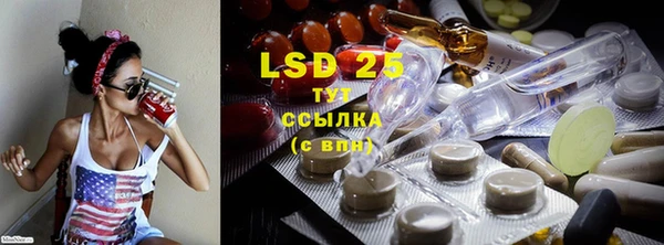 бошки Инта