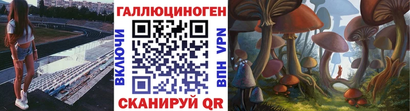 kraken tor  Карасук  Галлюциногенные грибы Psilocybine cubensis 